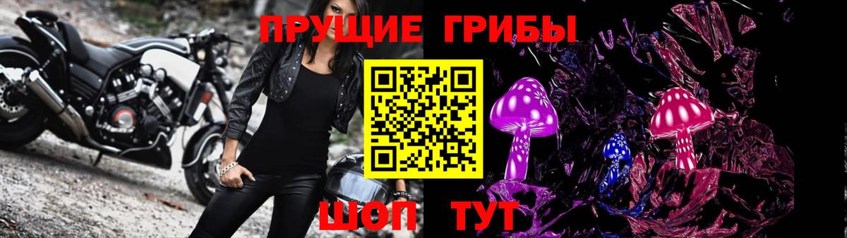 Туймазы  Псилоцибиновые грибы мицелий  Вход с VPN  что такое наркотик  Псилоцибиновые грибы Psilocybe 
