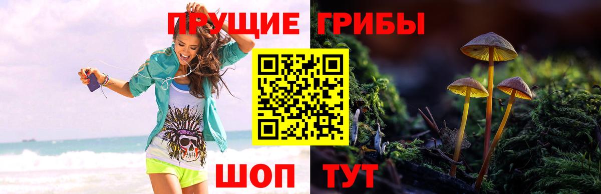 Каннабис  Туймазы  NBOMe  Меф МЯУ МЯУ   Вход с VPN  Гашиш 